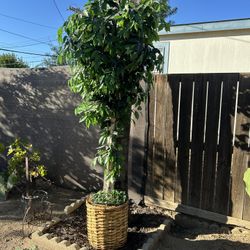 Artificial Decorative Tree  7 feet 