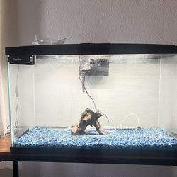 30 Gallon Fish Tank