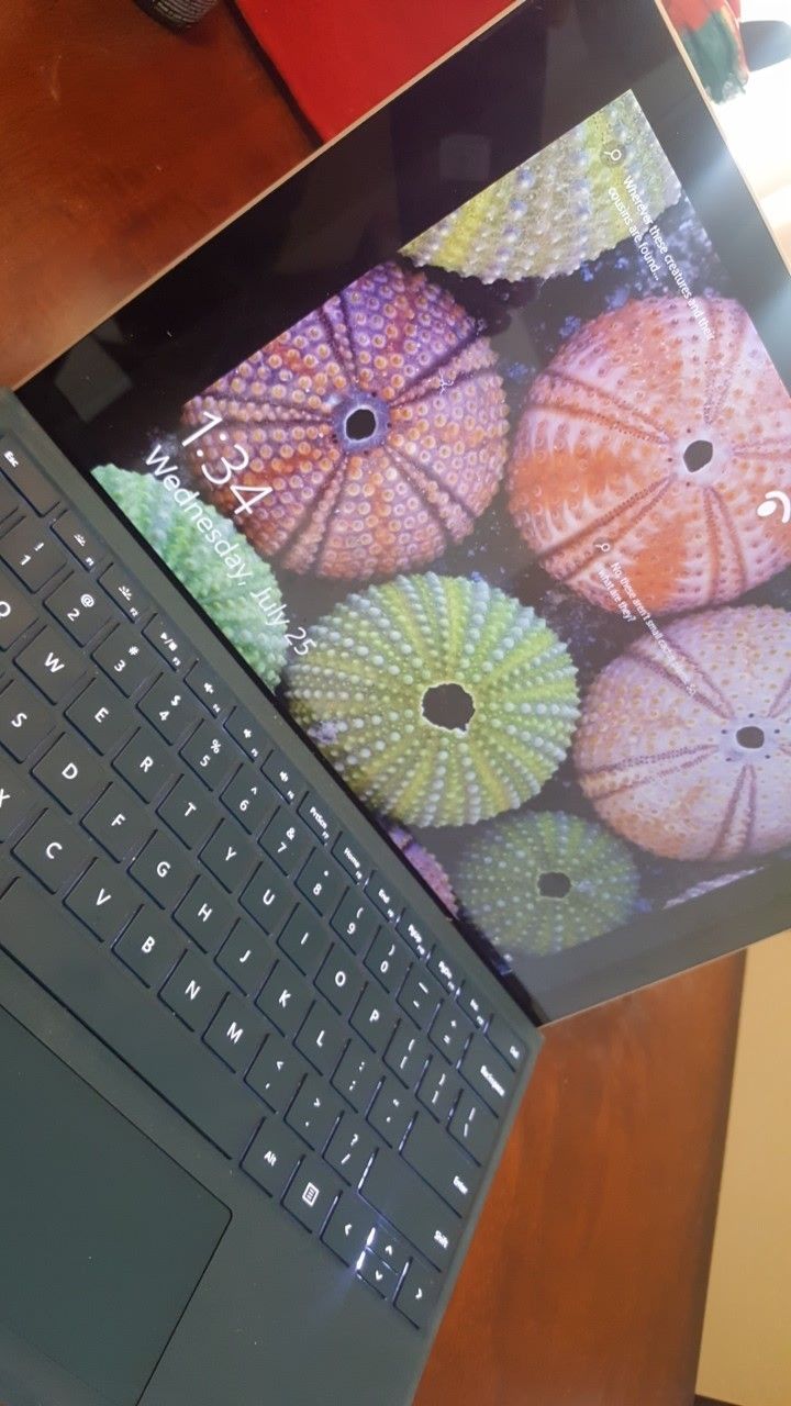 Microsoft Surface Pro 4