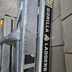 Gorilla Ladder