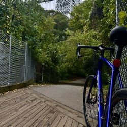 Domane Al 2 Gen 3 Trek 61inch 