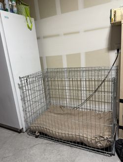 XL kennel With Bed