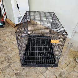 Dog Cage For ,free