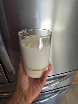 Sourdough Starter! West Islip