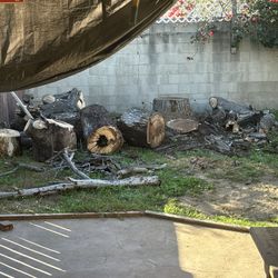 Fire Wood 