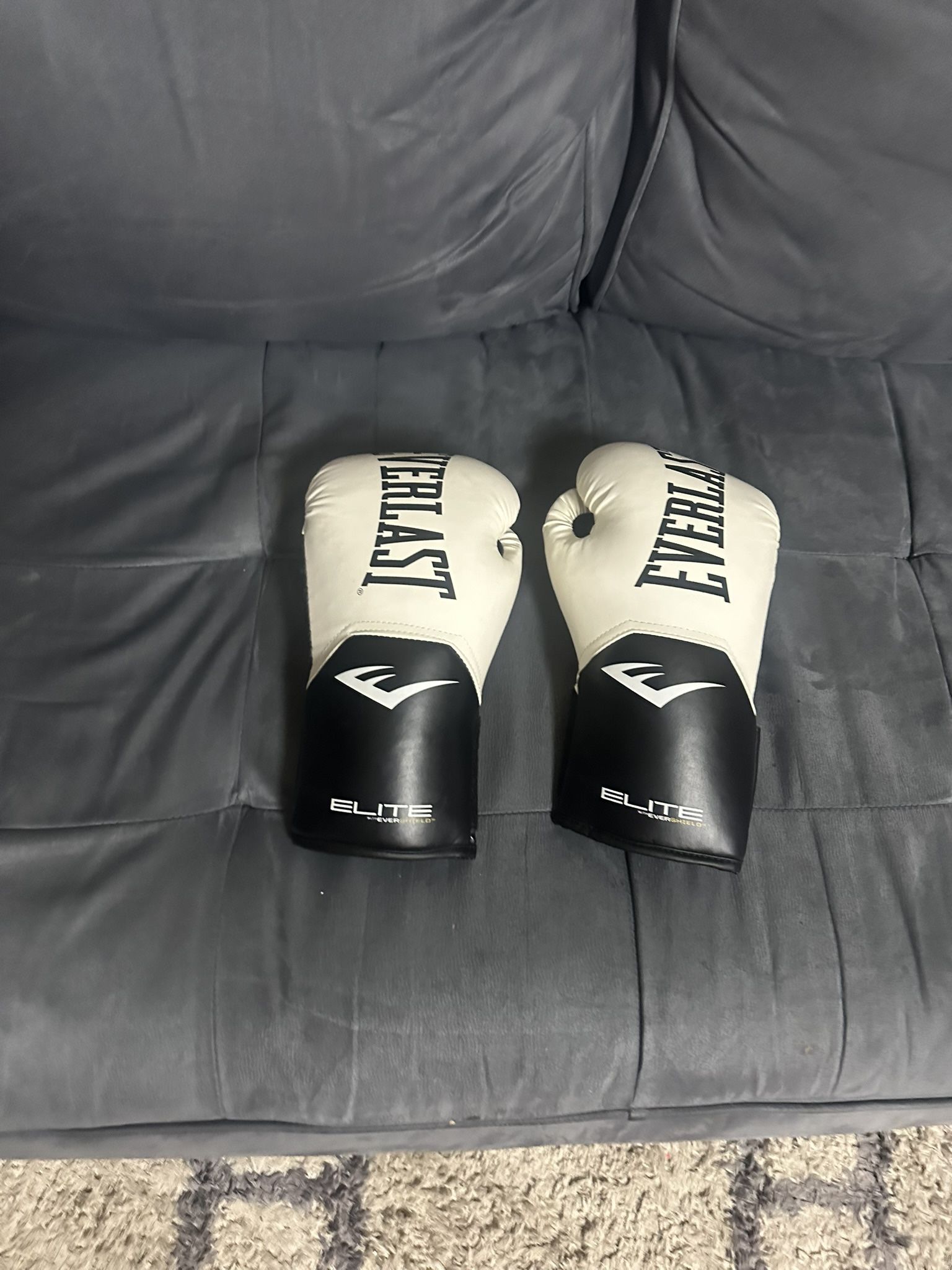 Everlast boxing gloves