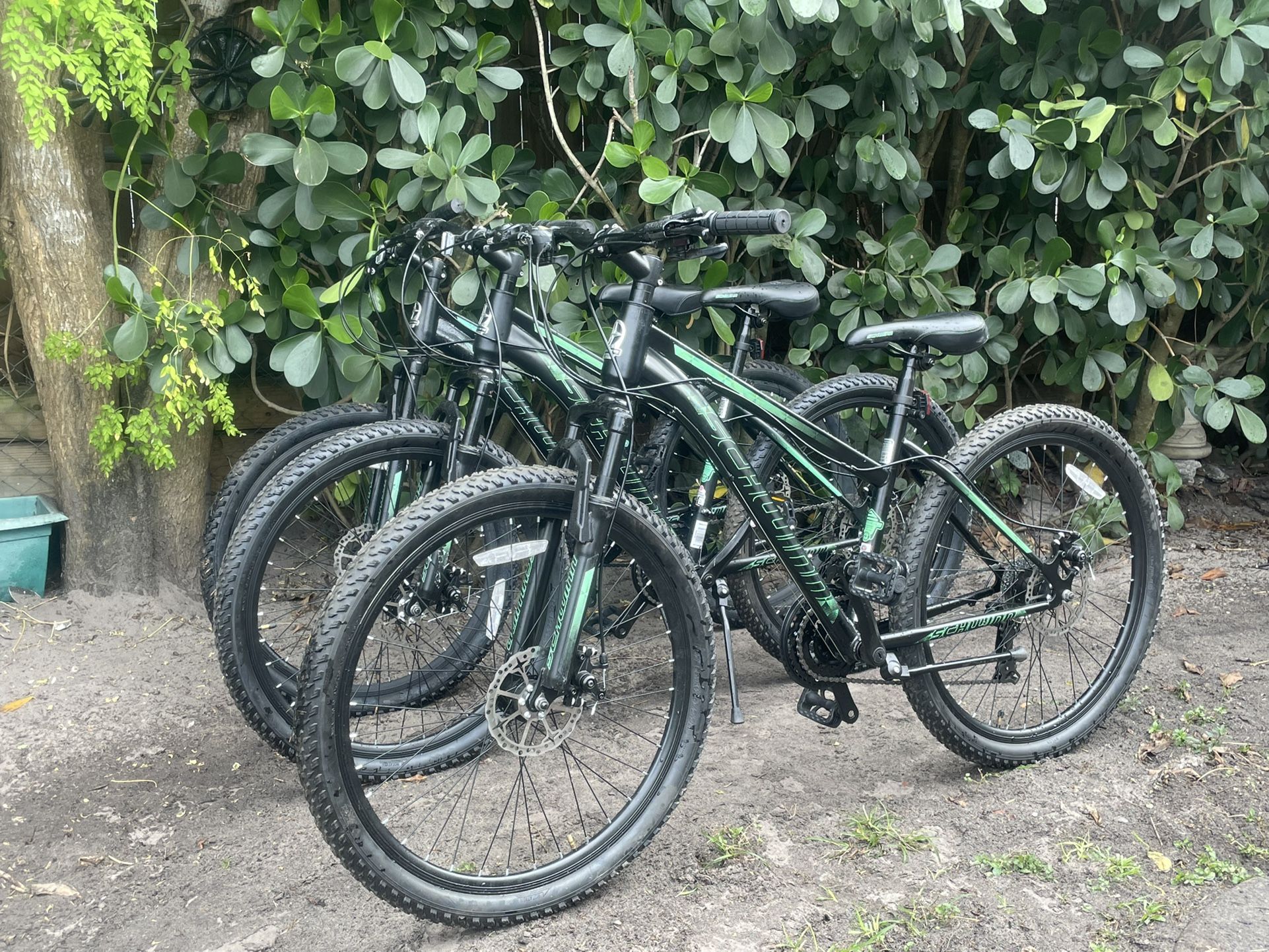 26 NEW WOMEN SCHWINN DUAL DISC BRAKES $159 EACH PRICE ARE FIRM