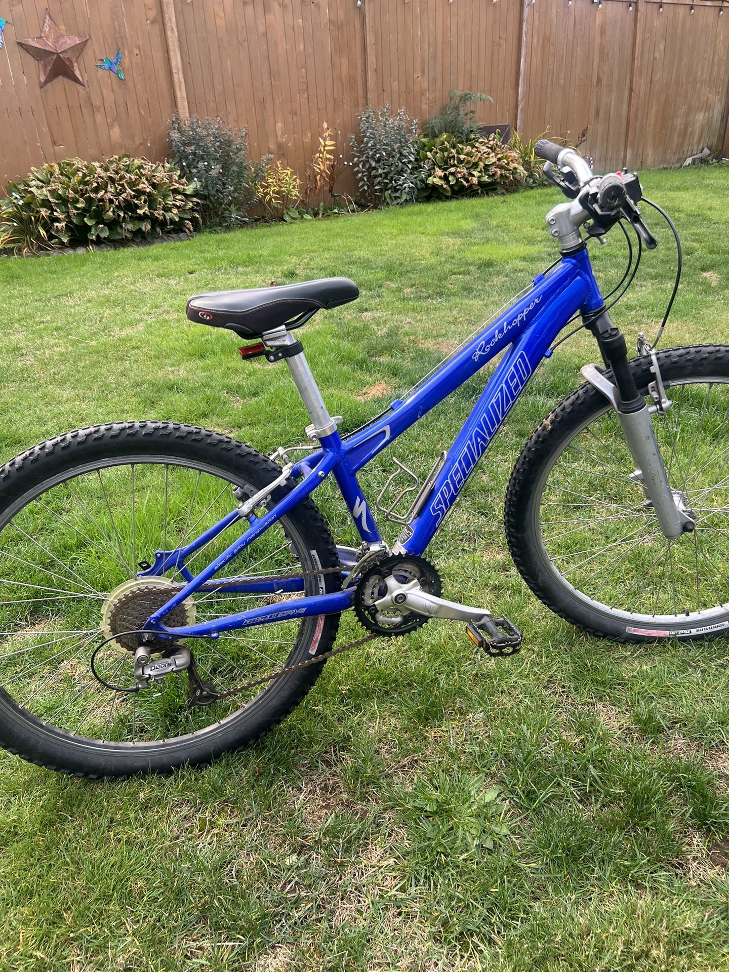 Rockhopper Mountain Bike
