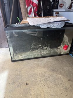 Aquarium 55 gl