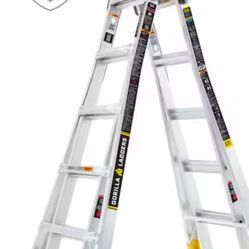 22 Ft Extendable Ladder