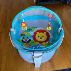 Fisher Price Dome on the Go Play yard
