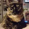 Lili