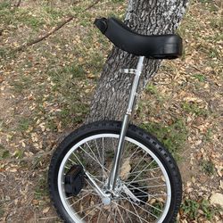 Unicycle