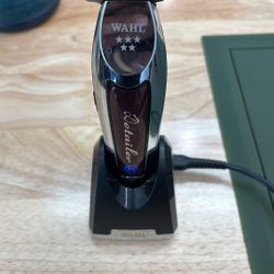 Wahl Detailer 