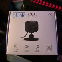 Blink Camera 