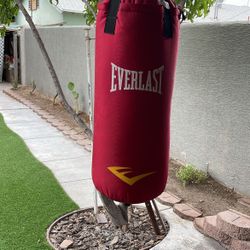 Boxing Bag 