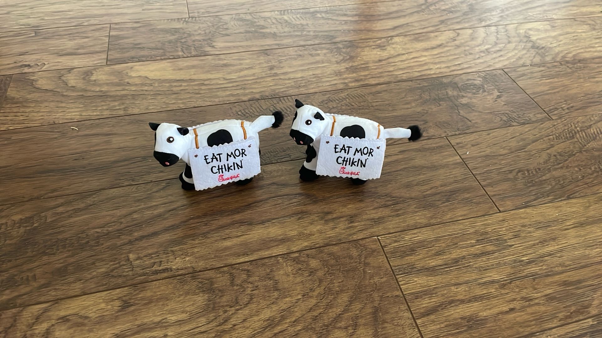 Eat More Chicken Chickfila Cow
