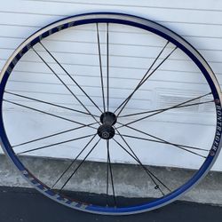Bontrager Race Lite 700c Clincher Blue Anodized Rim Brake Front Wheel