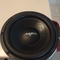 12 inch SKAR VD SUB 