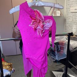 Pink Flamingo Dance Costume 