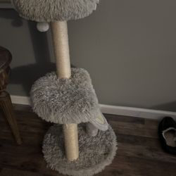 Cat Scratcher