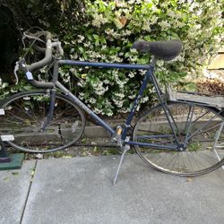 Fuji Regis Vintage Road Bike w/ Rear Rack – Steel Frame