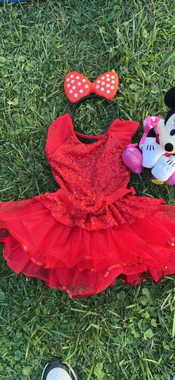 Minnie Mouse Costume 