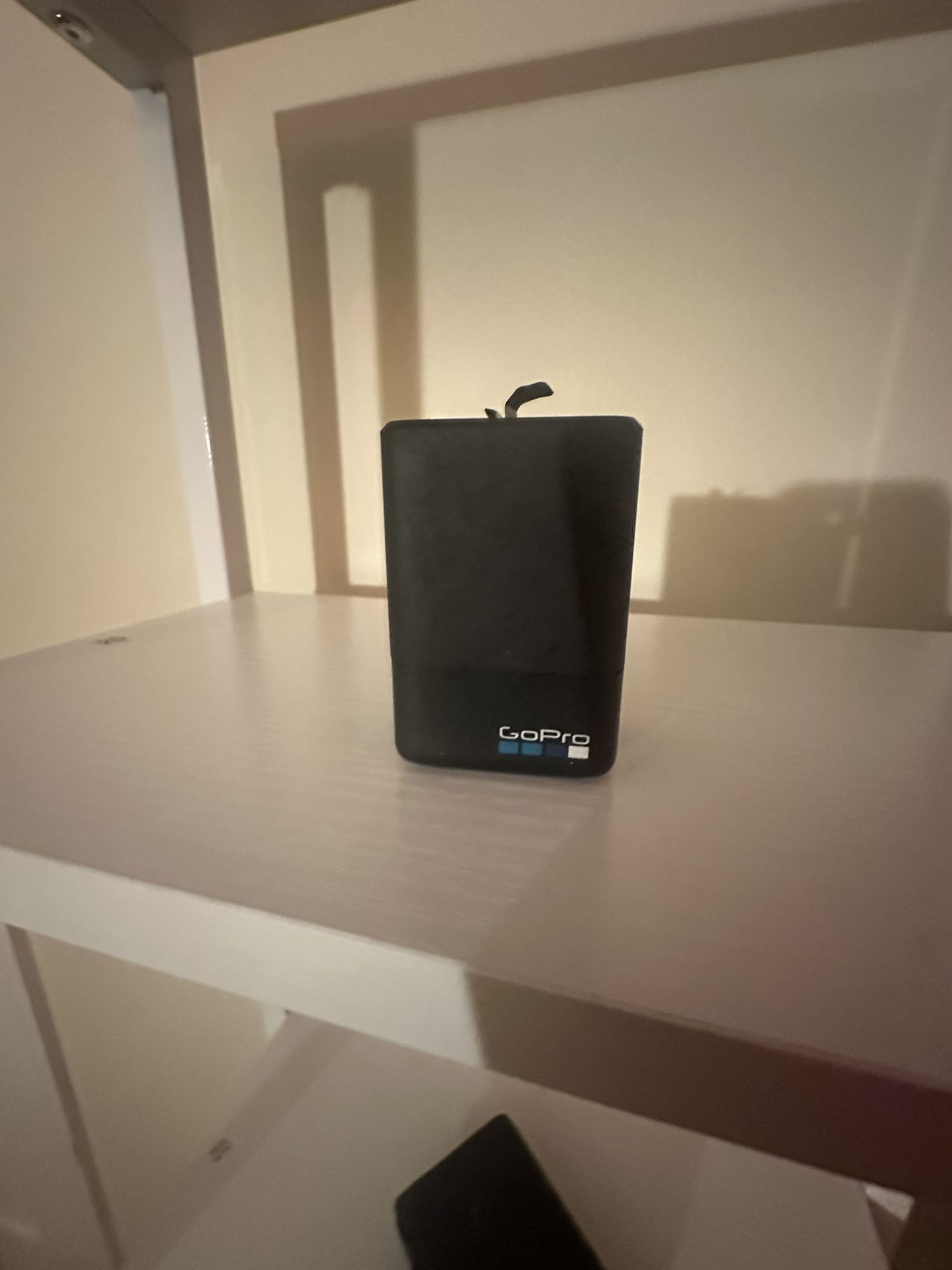 Dual Battery Charger + Camera Battery