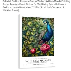 Peacock Canvas Wall Art - Wooden Frame