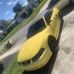 2003 Ford Mustang