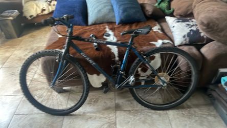 Small Giant Sedona bike 1st $75