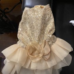 Size small dog dress