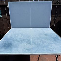 Ping Pong Table