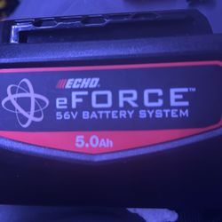Rechargeable Lithium-ion Battery 56v