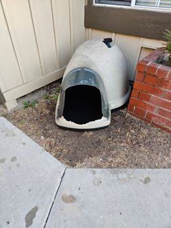Large Dog Igloo / Dog House
