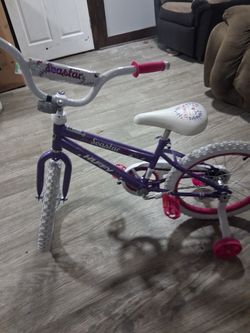 Pink Seastar Bike
Enjoy Every Movement