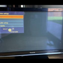 42 Inch Screen Panasonic 