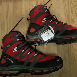 Salomon Cosmic 4D GTX