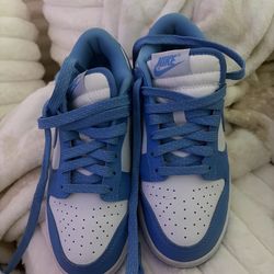 blue dunks size 5