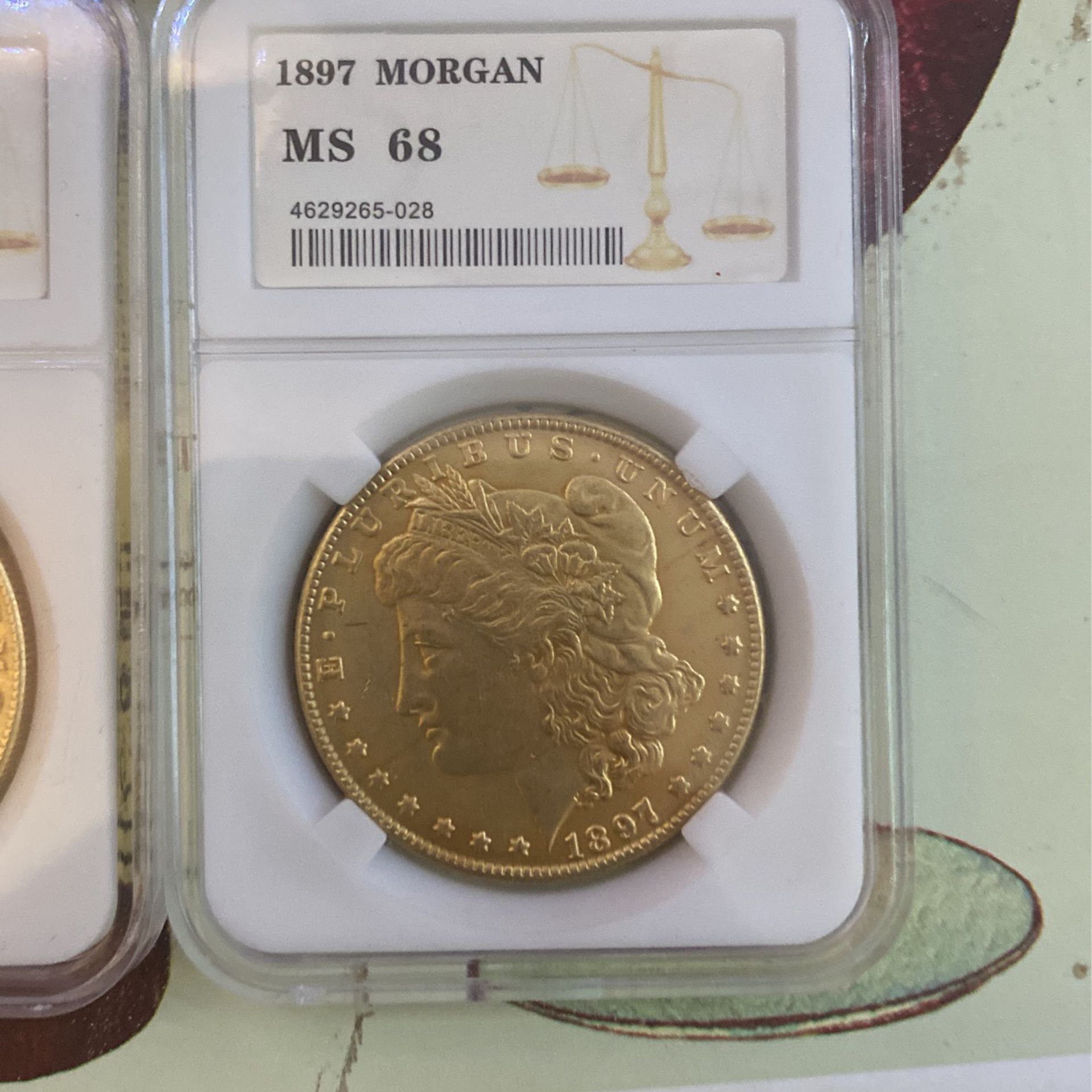 Morgan Dollars Lot