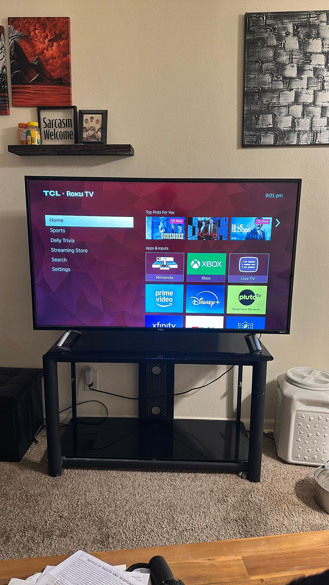 TLC 55 Inch 4K Roku Tv with Minor Defect 