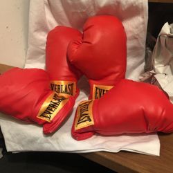 EVERLAST RED BOXING GLOVES
