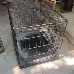Dog Kennel