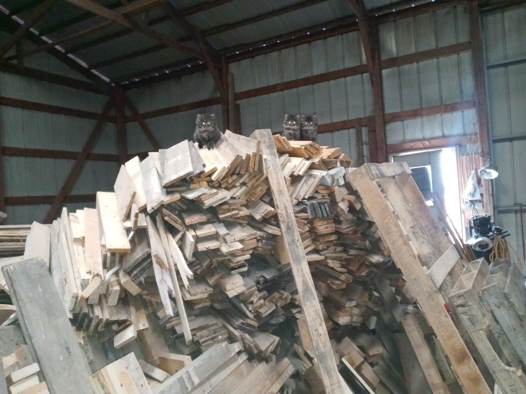Firewood