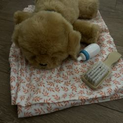 Stuffed Animal Lot 