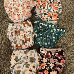 Wegreeco Cloth Diapers with inserts 
