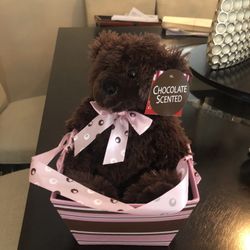Chocolate Scent Teddy Bear 