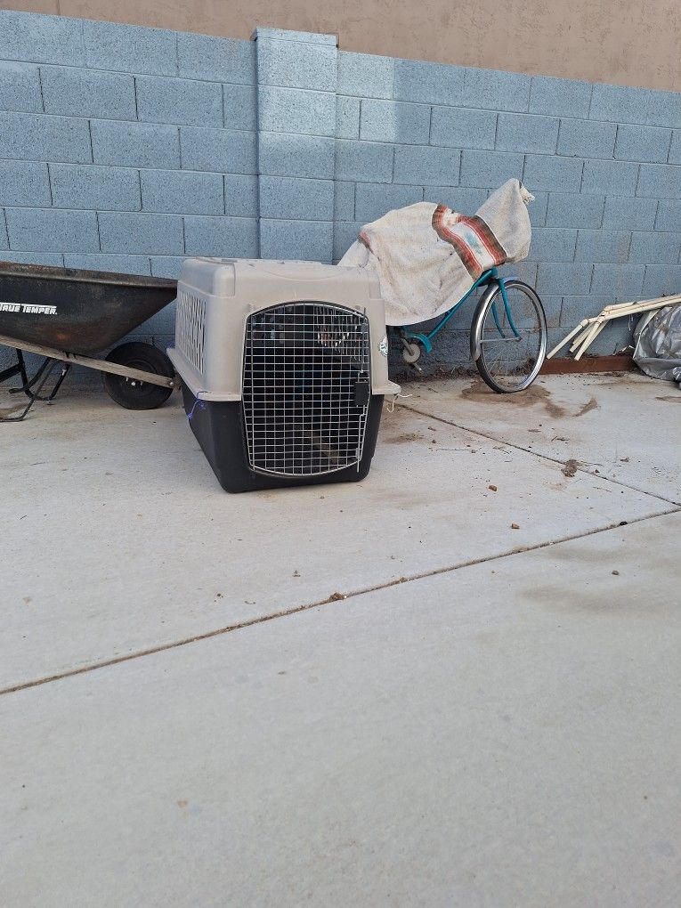 Med Dog Crate For Camping