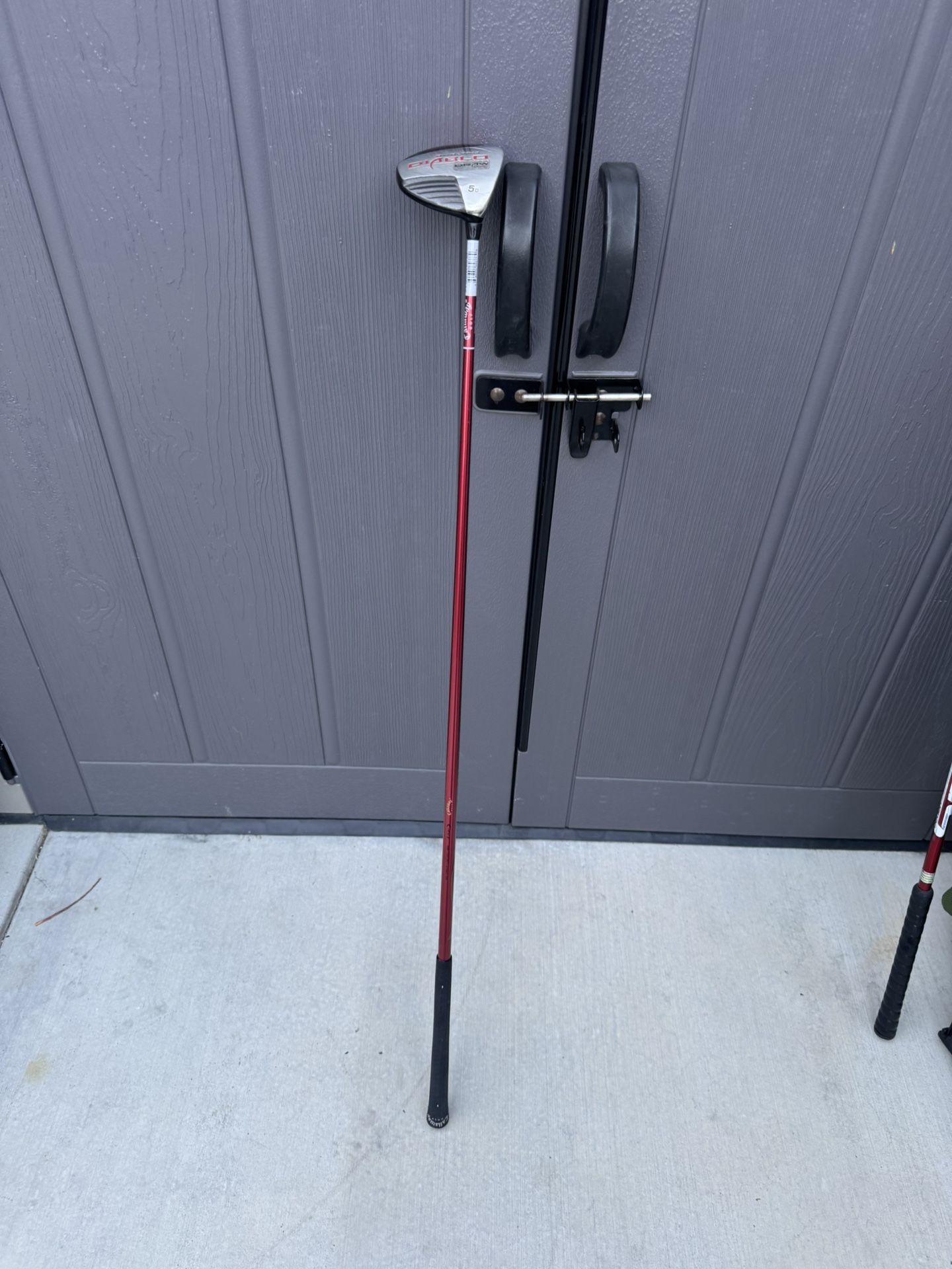 Diablo 5 Golf Stick