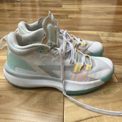 Nike Jordan Men's Shoes Jordan Zion 1 Bloodline DA3130-006